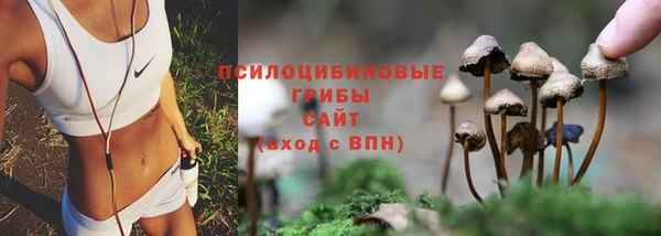 гидропоника Балабаново