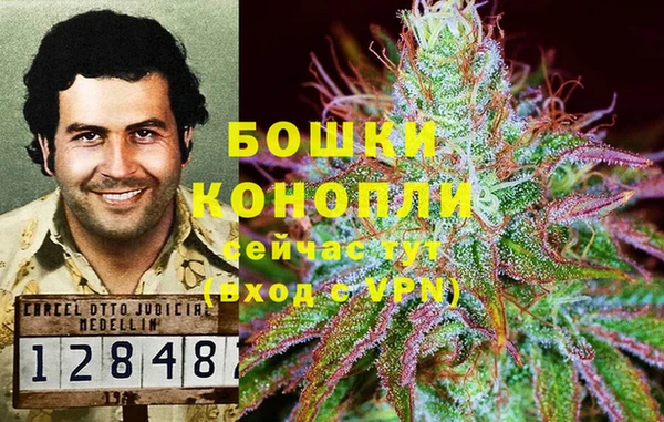 гидропоника Балабаново