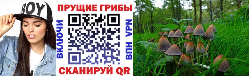 Купить закладки  Костомукша  Псилоцибиновые грибы Magic Shrooms 